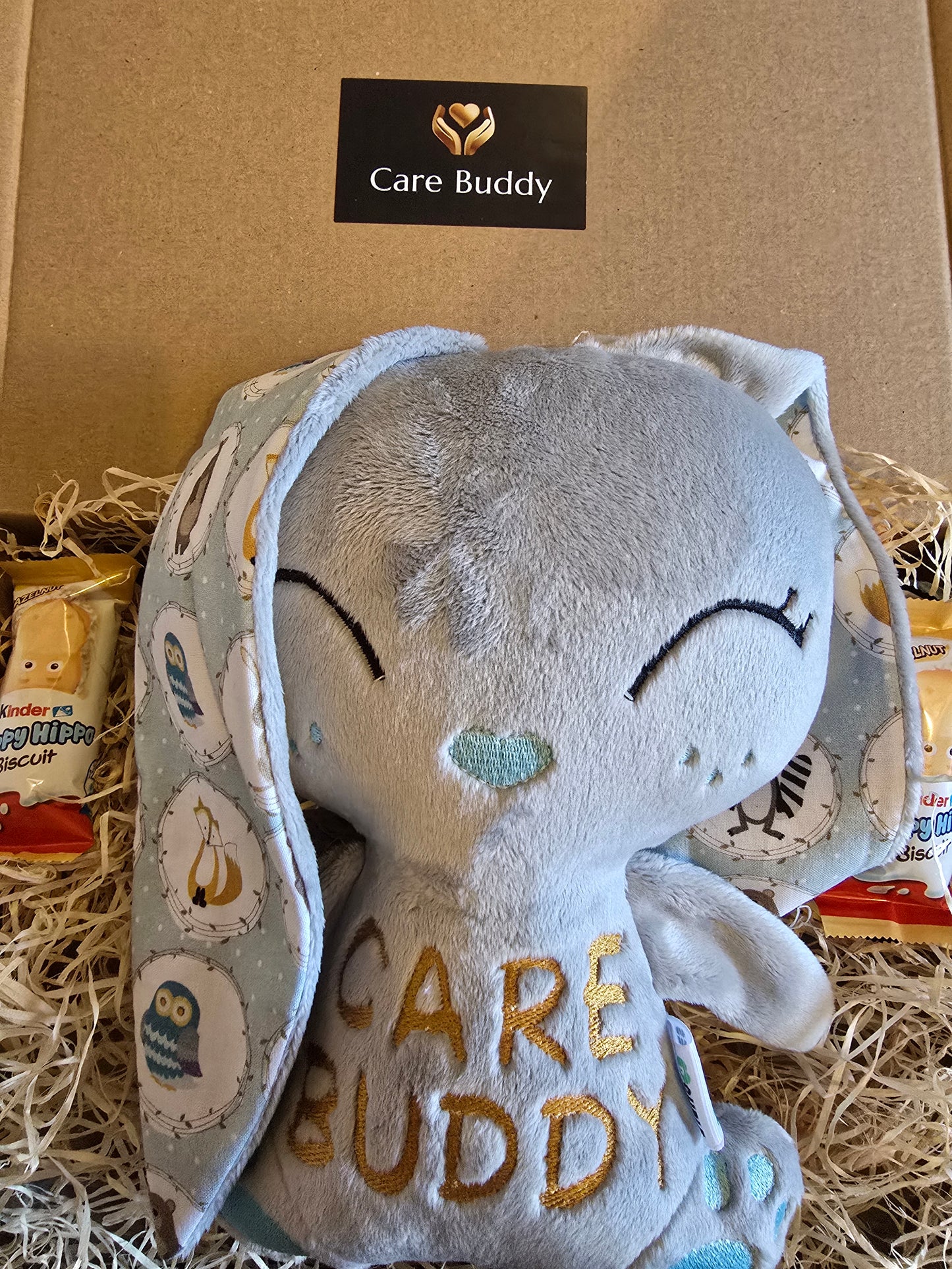 'Cuddles' Get Well Care Buddy Bunny