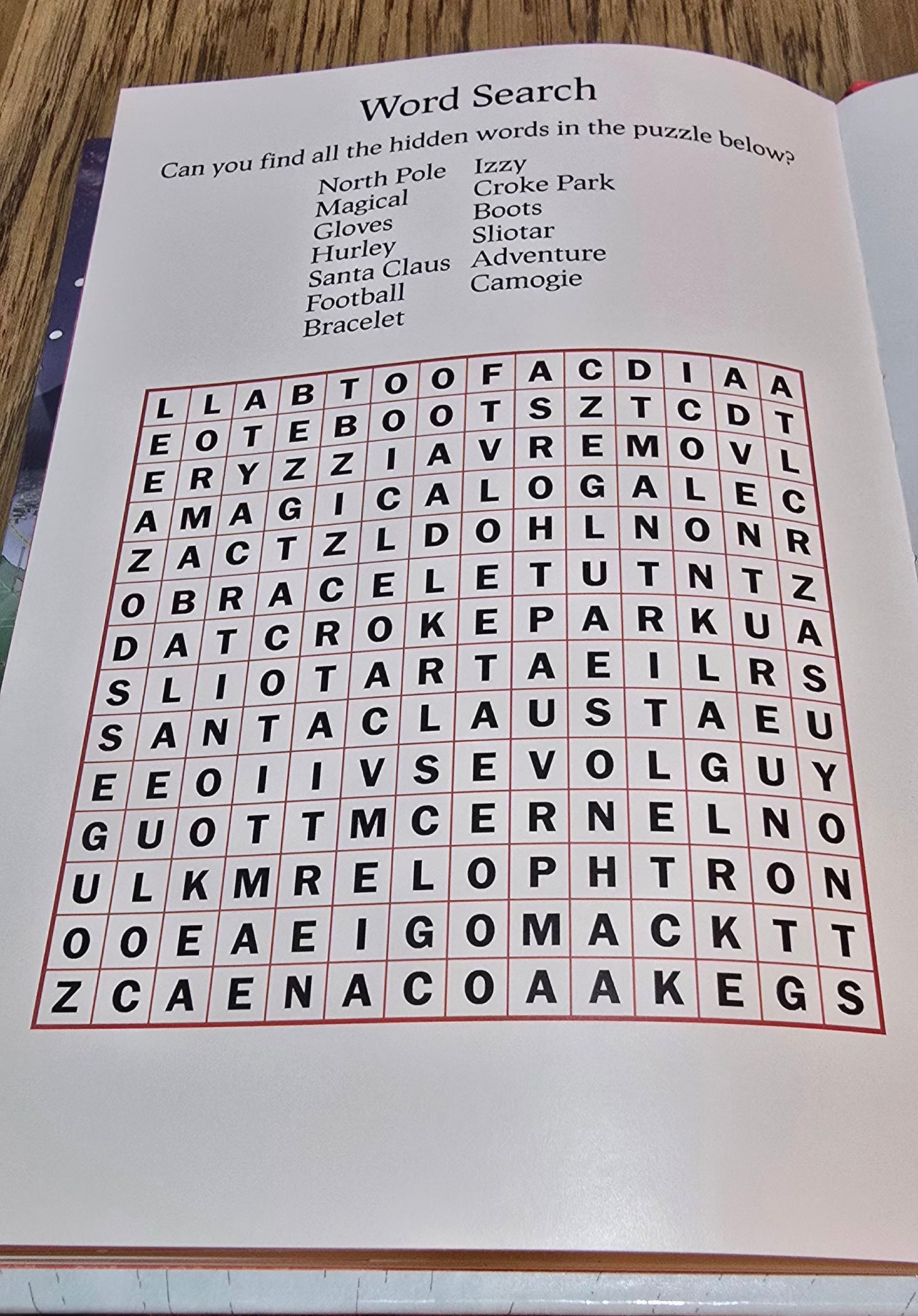 Izzy's Magical Christmas Adventure Hardback