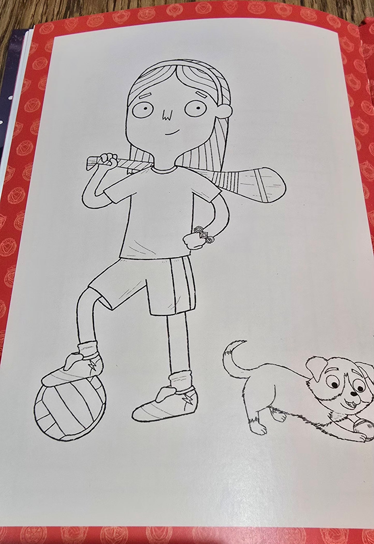 Izzy's Magical Christmas Adventure Hardback