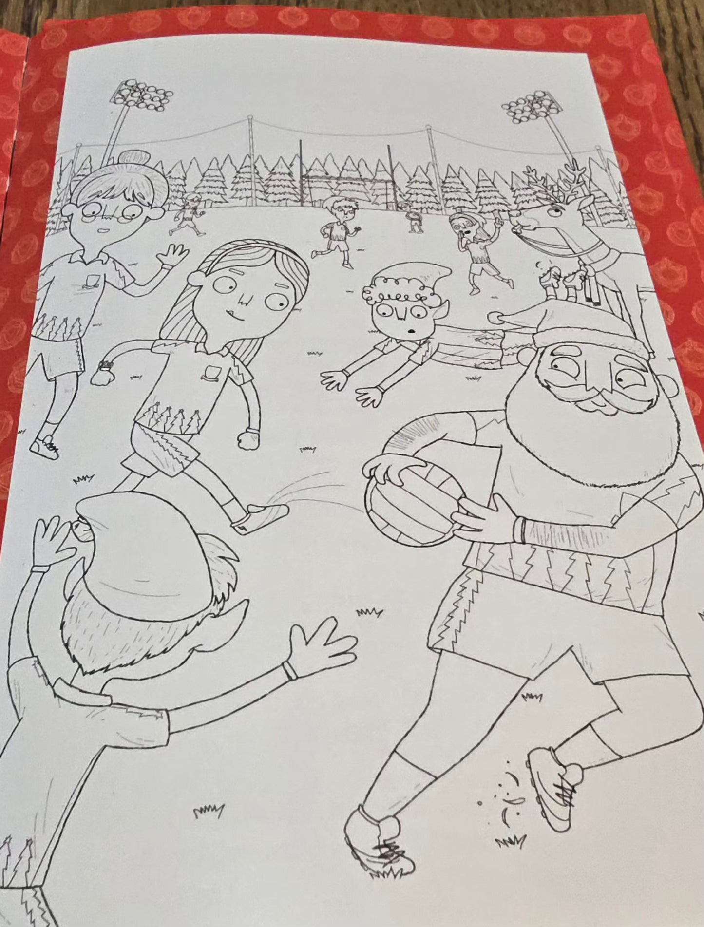 Izzy's Magical Christmas Adventure Hardback