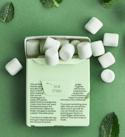 True Gum Mint Chewing Gum